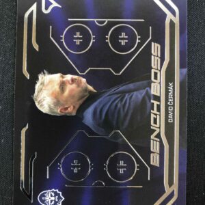 2025/2026 Sportzoo Serie 2 Bench Boss BB-16 David Čermák Inzert