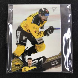 2025/2026 Sportzoo Serie 2 Base HC Verva Litvínov Set