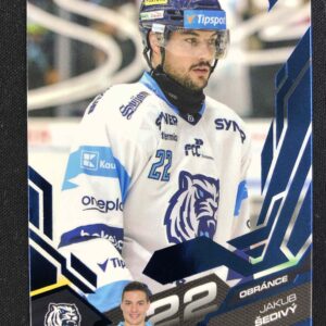 2025/2026 Sportzoo Serie 2 Azure Blue 333 Jakub Šedivý Paralel