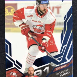 2025/2026 Sportzoo Serie 2 Azure Blue 358 Silvester Kusko Paralel