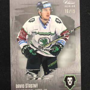 2019/2020 OFS Classic Silver Sand 136 David Šťastný Paralel 16/19