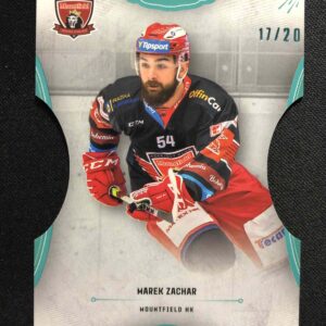 2020/2021 OFS Classic Blue Cut 327 Marek Zachar Paralel 17/20