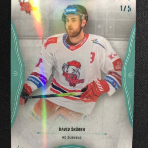 2020/2021 OFS Classic Blue Neon 232 David Škůrek Paralel 1/5