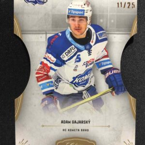 2020/2021 OFS Classic Hobby Cut 310 Adam Gajarský Paralel 11/25