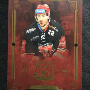 2021 OFS Classic Kingdom of Lions LI-1 Jiří Šimánek Inzert