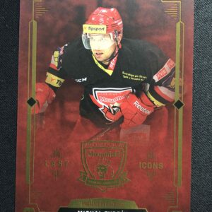 2021 OFS Classic Kingdom of Lions LI-3 Michal Tvrdík Inzert