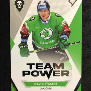 2021/2022 Sportzoo Serie 1 Team Power TP-12 David Šťastný Inzert