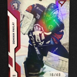 2022/2023 Sportzoo Serie 1 Red 145 Dominik Pavlát Paralel 16/49