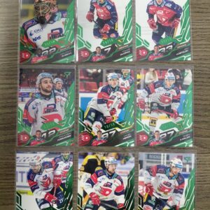 2025/2026 Sportzoo Serie 2 Emerald Green HC Dynamo Pardubice Set