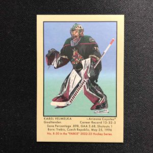 2022/2023 Upper Deck Parkhurst Champions 51 Retros R-50 Karel Vejmelka Inzert