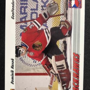 1991/1992 Upper Deck Series 1 Euro-Stars E14 Dominik Hašek Inzert