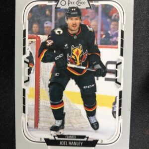 2025/2026 Upper Deck O-Pee-Chee Base 311 Joel Hanley