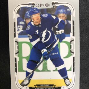 2025/2026 Upper Deck O-Pee-Chee Base 455 Darren Raddysh