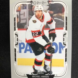 2025/2026 Upper Deck O-Pee-Chee Base 464 Michael Amadio