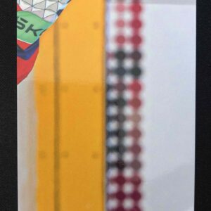 2024/2025 Legendary Cards Golden Jigsaw Puzzle RG-03 Radko Gudas Inzert