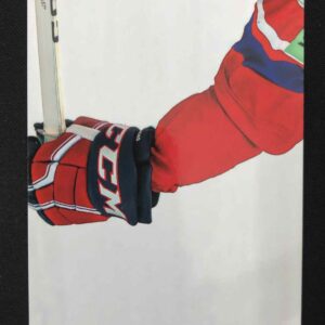 2024/2025 Legendary Cards Golden Jigsaw Puzzle RG-06 Radko Gudas Inzert