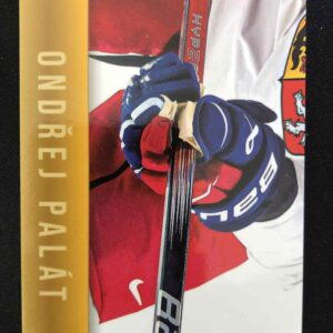 2024/2025 Legendary Cards Golden Jigsaw Puzzle OP-08 Ondřej Palát Inzert