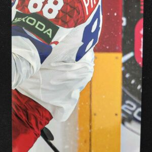 2024/2025 Legendary Cards Golden Jigsaw Puzzle D-02 David Pastrňák Inzert