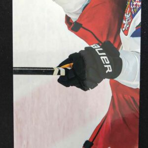 2024/2025 Legendary Cards Golden Jigsaw Puzzle DP-05 David Pastrňák Inzert