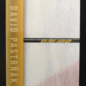 2024/2025 Legendary Cards Golden Jigsaw Puzzle DP-08 David Pastrňák Inzert