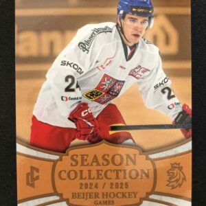 2024/2025 Legendary Cards Series 2 Retail Gold BHG-02 Libor Hájek Paralel