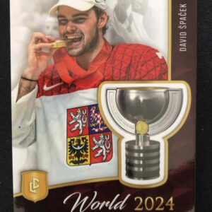 2024/2025 Legendary Cards Golden World Champions CHA-04 David Špaček Inzert