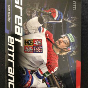 2024/2025 Legendary Cards Golden Great Entrance GE-17 David Tomášek Inzert