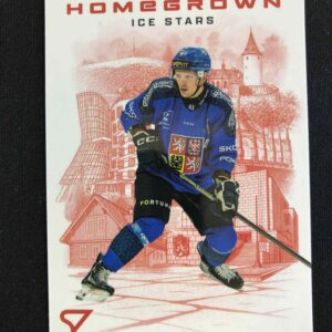 2026 Sportzoo Hokejové Česko Homegrown Ice Stars HS-12 Radim Šimek Inzert