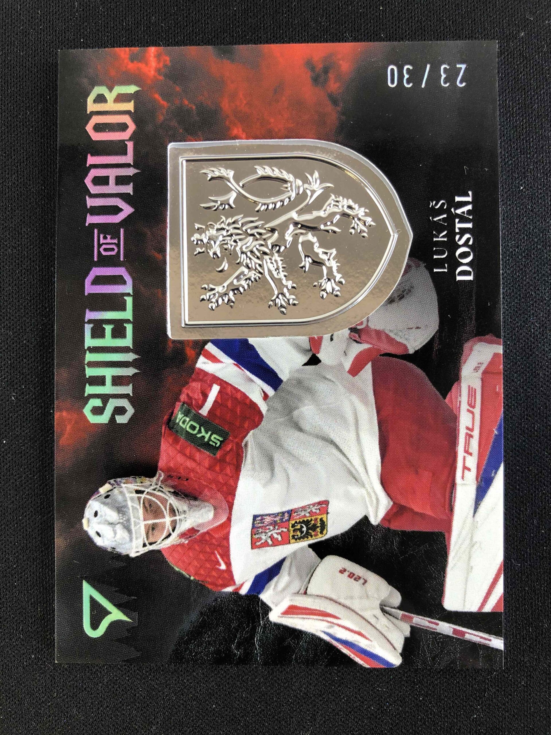 2026 Sportzoo Hokejové Česko Shield of Valor Royal Silver SV-LD Lukáš Dostál Logo 23/30