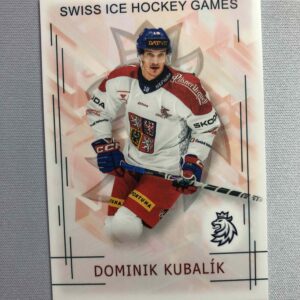 2025/2026 Real Cards Series 1 Base SHG-14 Dominik Kubalík