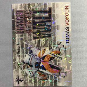2025/2026 Real Cards Series 1 Changed in to the Wall Magma CHW-13 Tomáš Vokoun Inzert 14/25