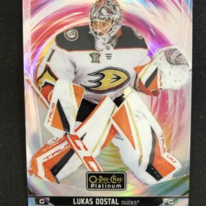 2024/2025 Upper Deck OPC Platinum Rainbow Color Wheel 79 Lukáš Dostál Paralel