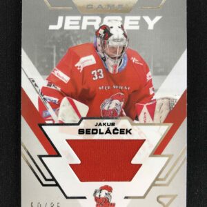2023/2024 Sportzoo Serie 2 Game Jersey Silver GJ-JS Jakub Sedláček Jersey 50/85