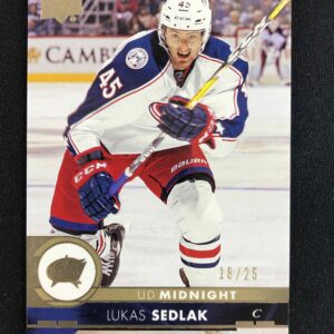 2017/2018 Upper Deck Series 1 UD Midnight 53 Lukáš Sedlák Paralel 18/25