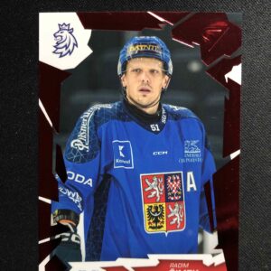 2026 Sportzoo Hokejové Česko Red 20 Radim Šimek Paralel