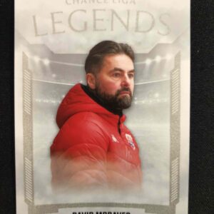 2022/2023 Goal Serie 1 Legends LL-17 David Moravec Inzert
