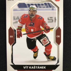2023/2024 Goal Serie 2 Base 375 Vít Kaštánek