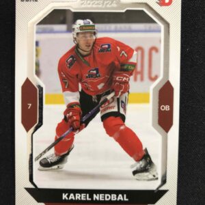 2023/2024 Goal Serie 2 Base 376 Karel Nedbal