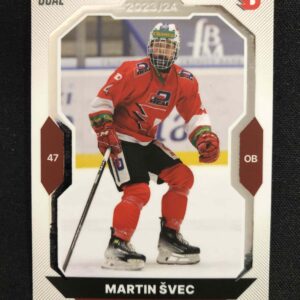 2023/2024 Goal Serie 2 Base 377 Martin Švec
