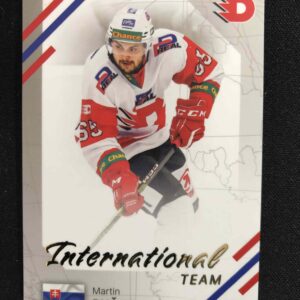 2023/2024 Goal Serie 2 International Team IN-27 Martin Bučko Inzert