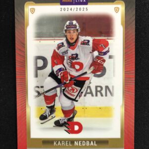 2024/2025 Goal Serie 1 Base PCE-05 Karel Nedbal