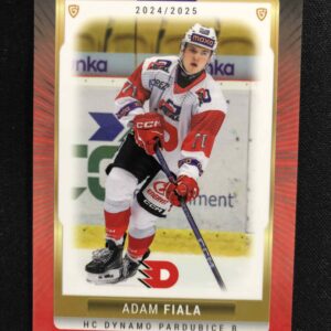 2024/2025 Goal Serie 1 Base PCE-15 Adam Fiala