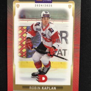 2024/2025 Goal Serie 1 Canvas PCE-13 Robin Kaplan Paralel /40