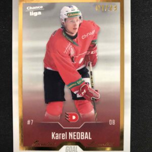 2022/2023 Goal Serie 1 Gold 145 Karel Nedbal Paralel 01/23