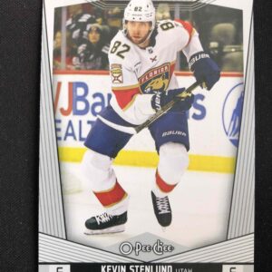 2024/2025 Upper Deck O-Pee-Chee Base 99 Kevin Stenlund
