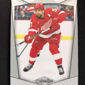 2024/2025 Upper Deck O-Pee-Chee Base 134 David Perron