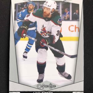 2024/2025 Upper Deck O-Pee-Chee Base 193 Liam O'Brien