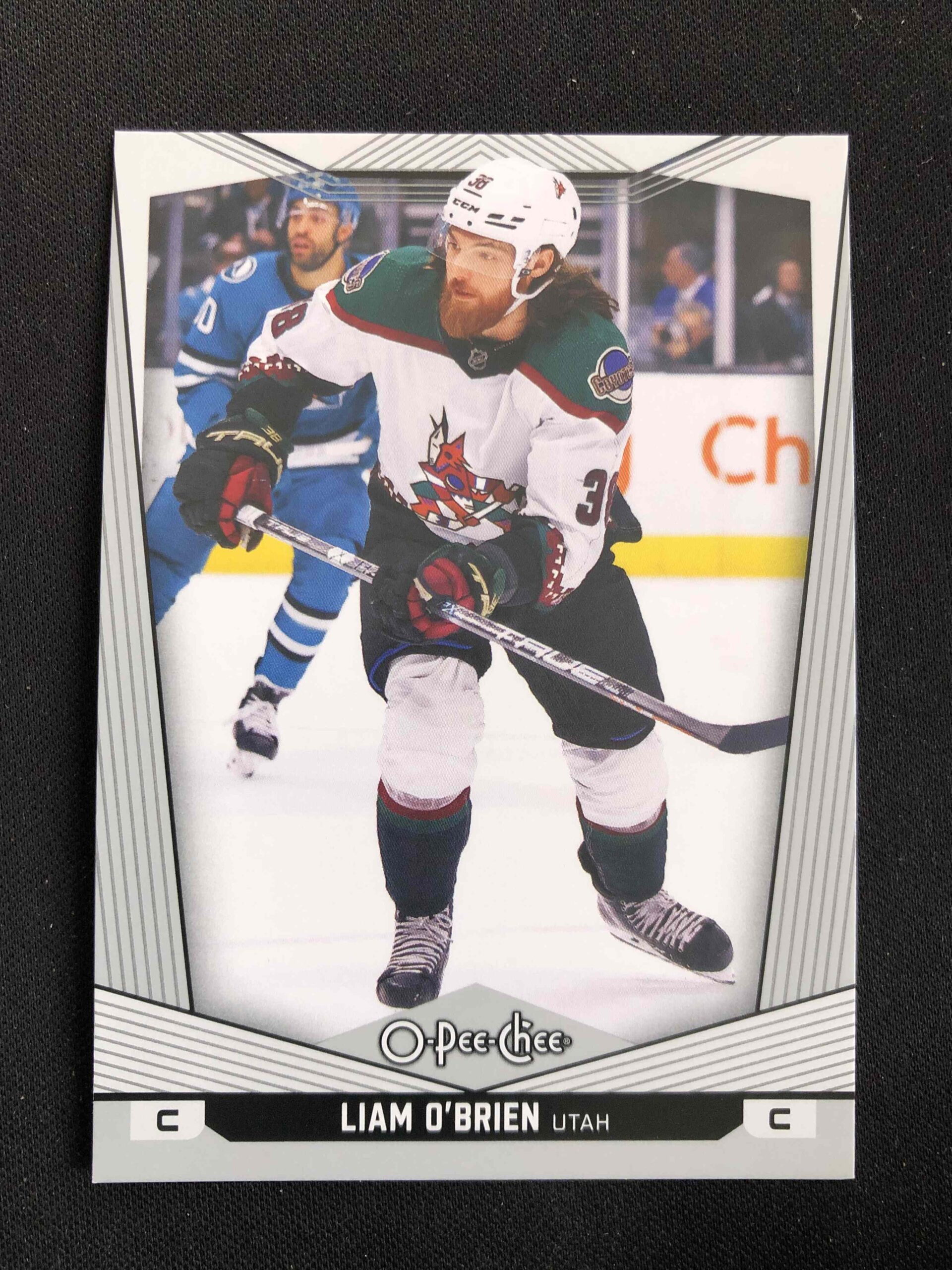 2024/2025 Upper Deck O-Pee-Chee Base 193 Liam O'Brien