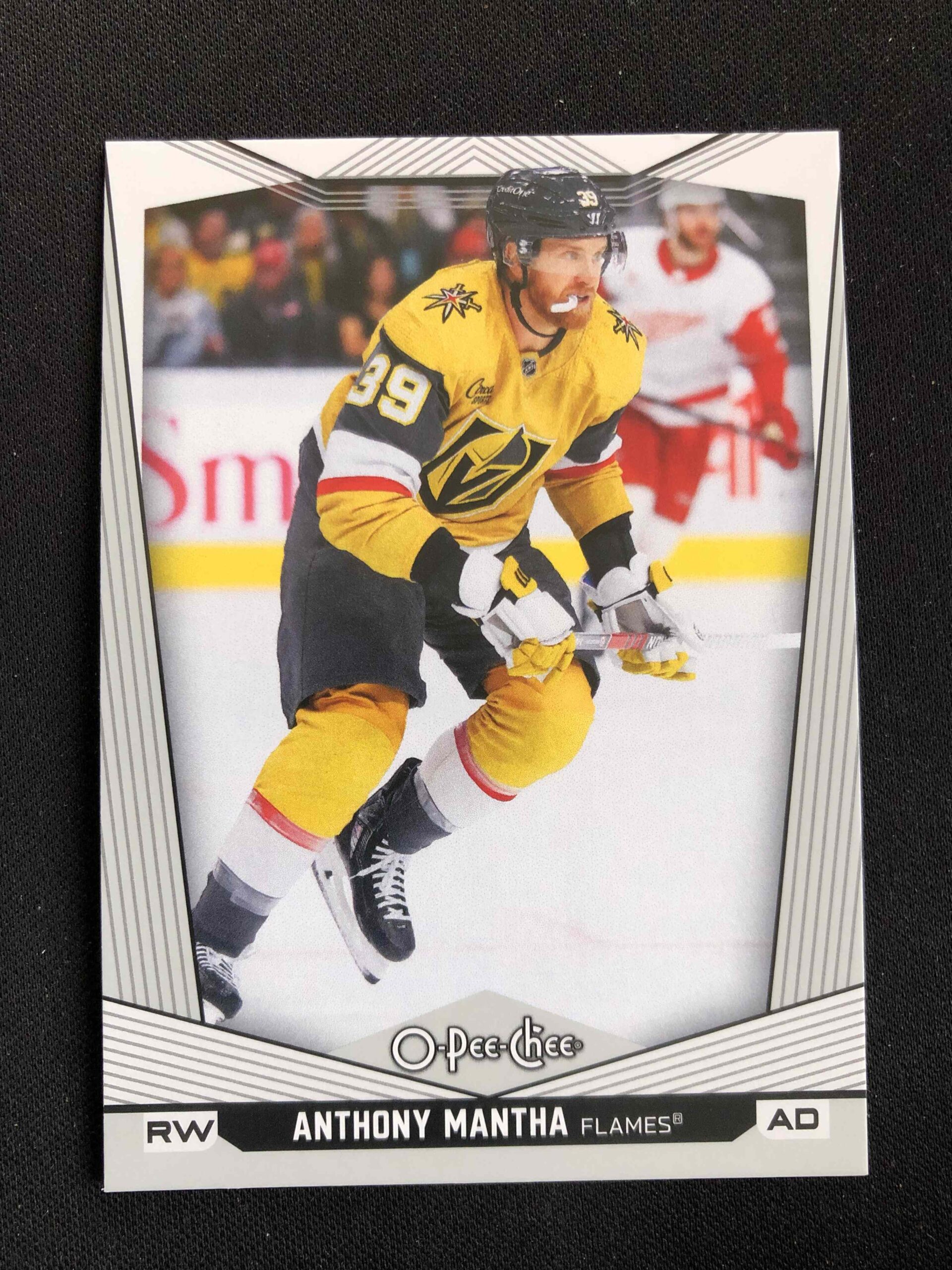 2024/2025 Upper Deck O-Pee-Chee Base 210 Anthony Mantha