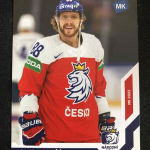 2021/2022 Moje Kartičky Reprezentace Base 58 David Pastrňák